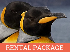Antarctica: Complete Rental Package
